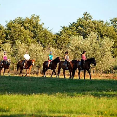 Istra Plava Laguna 3* بوريتش