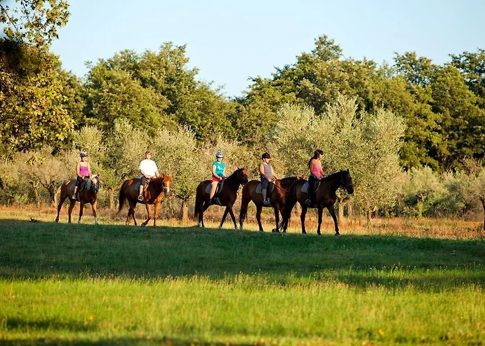 Istra Plava Laguna 3* Poreč
